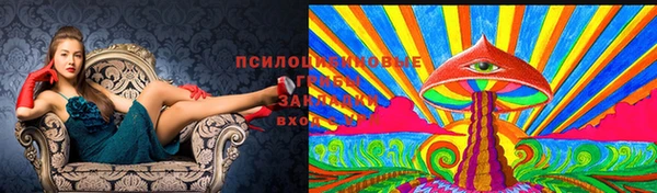 мяу мяу мука Балабаново