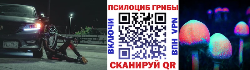 Псилоцибиновые грибы Cubensis  Верхний Тагил 
